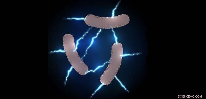 Bionic Catalysts: Harnessing Microbes and Nanomaterials for Clean Energy