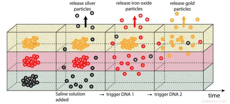 Synthetic DNA-Driven Nanoparticle Systems Enable Precise, Sequential Drug Release