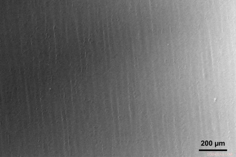 Large-Scale Single-Crystal Monolayer Graphene Achieved on Copper Foils