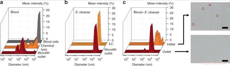 Rapid Isolation of Intact Bacteria from Blood with a Microfluidic Silica Monolith Device