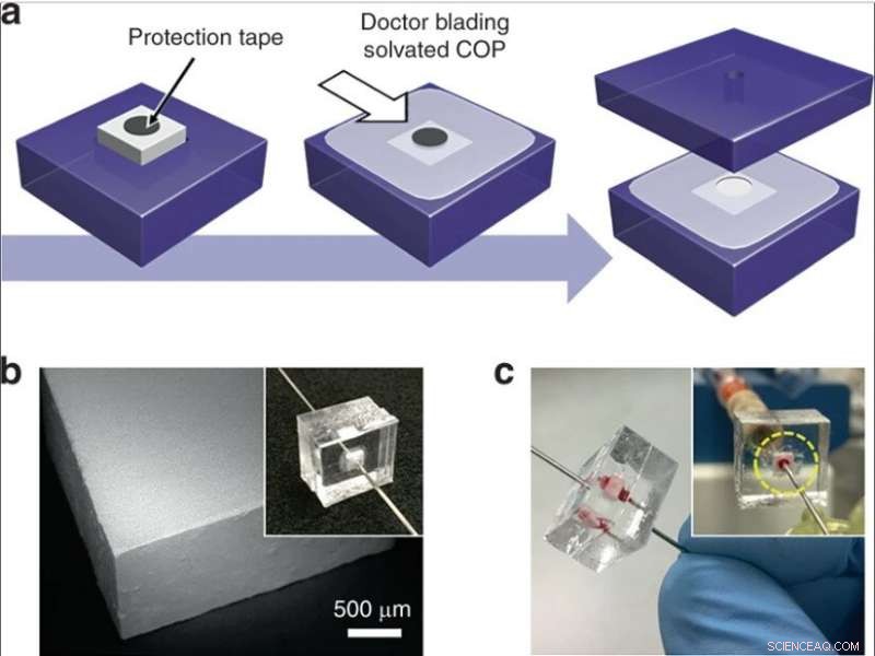 Rapid Isolation of Intact Bacteria from Blood with a Microfluidic Silica Monolith Device