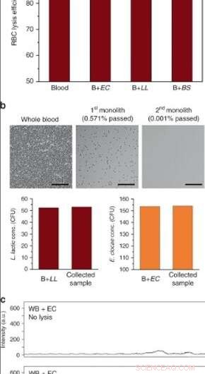 Rapid Isolation of Intact Bacteria from Blood with a Microfluidic Silica Monolith Device