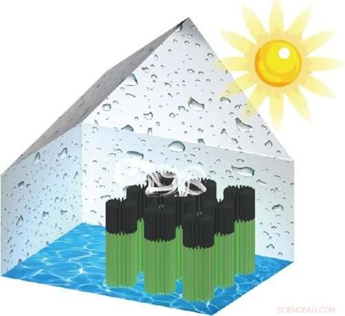 Tree‑Inspired Antigravity Water Transport System: Revolutionizing Upward Water Movement