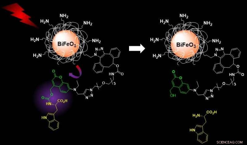 Advancing Nanotheranostics: NIR-Activated Bismuth Ferrite Nanoparticles for Precise Imaging and Controlled Delivery