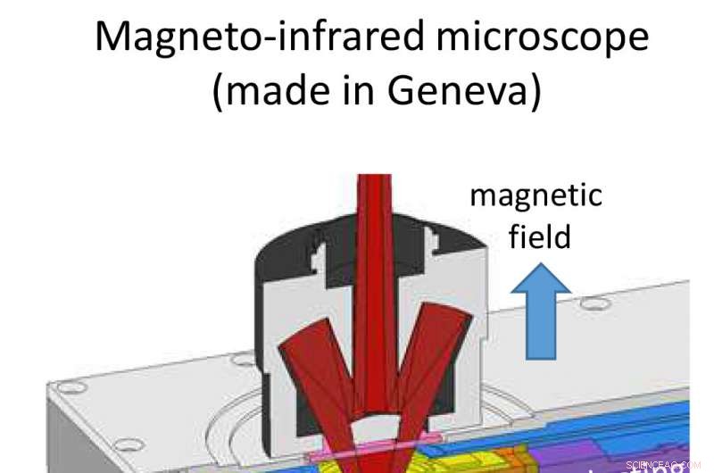 Dynamic Terahertz and Infrared Wave Control Using Magnetic Fields in Graphene