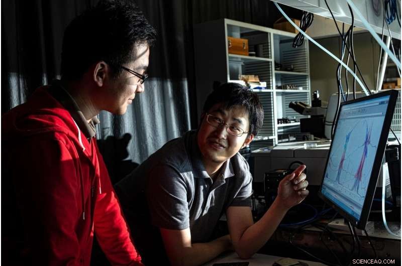 Rice University Turns Heat Into Light With Carbon Nanotube Device