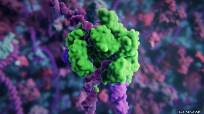 Advanced Nanoparticles Boost CRISPR Gene Editing Delivery into Cells