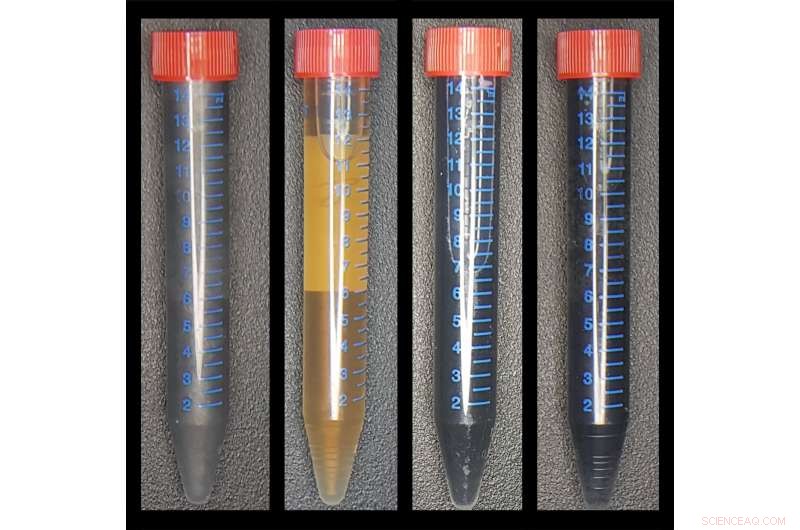 Can Bacteria Build the Computers of Tomorrow?