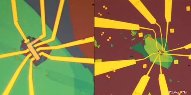 Versatile Graphene Superconductor Demonstrates Multiple Tunable States