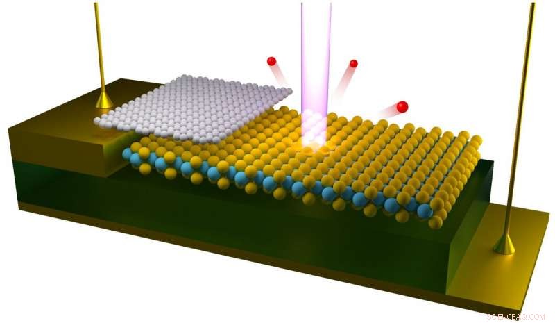 Pioneering Visuals Reveal How Electrical Gating Alters Electronic Structure in 2D Semiconductors