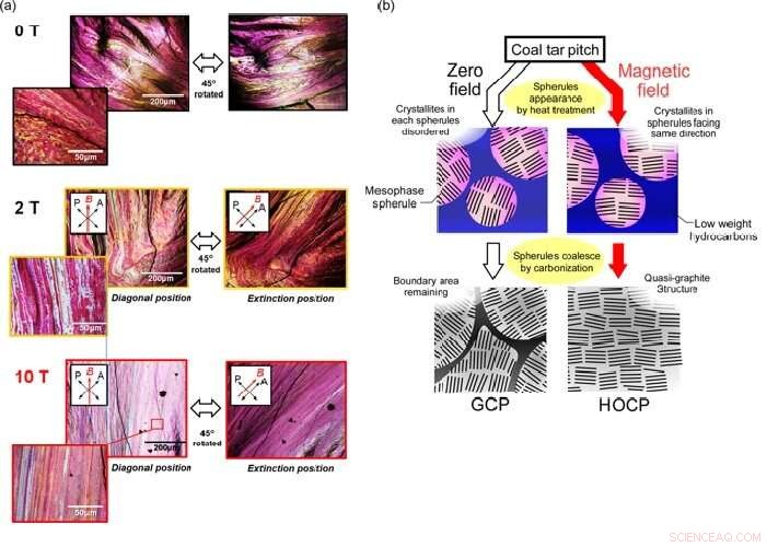 10T Magnetic Field Enhances Activated Carbon Microporosity by 35%
