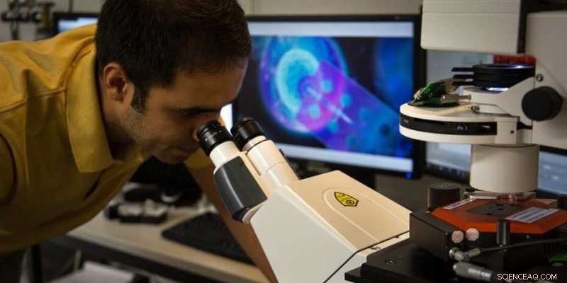 Revealing Cellular Whisper: A Novel Technique for Measuring Cell Signaling Molecules