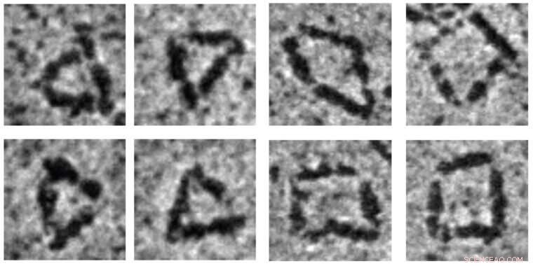 Engineers Develop Innovative Bottom-Up Method for Single-Chain Protein Nanostructures