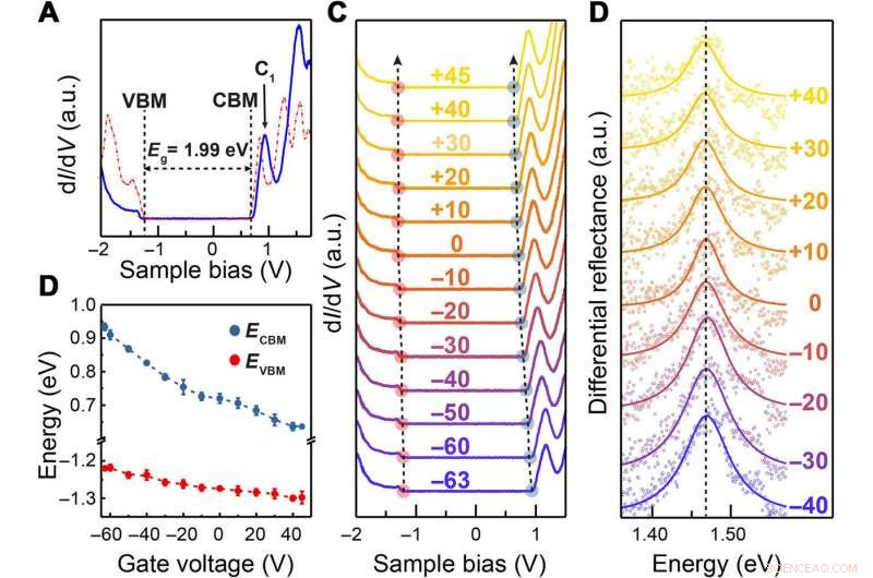 Gate‑Tunable Bandgap Renormalization and Excitonic Phenomena in 2‑D ReSe₂ Semiconductors