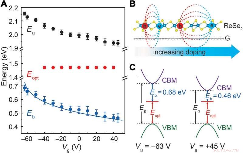 Gate‑Tunable Bandgap Renormalization and Excitonic Phenomena in 2‑D ReSe₂ Semiconductors