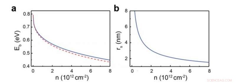 Gate‑Tunable Bandgap Renormalization and Excitonic Phenomena in 2‑D ReSe₂ Semiconductors