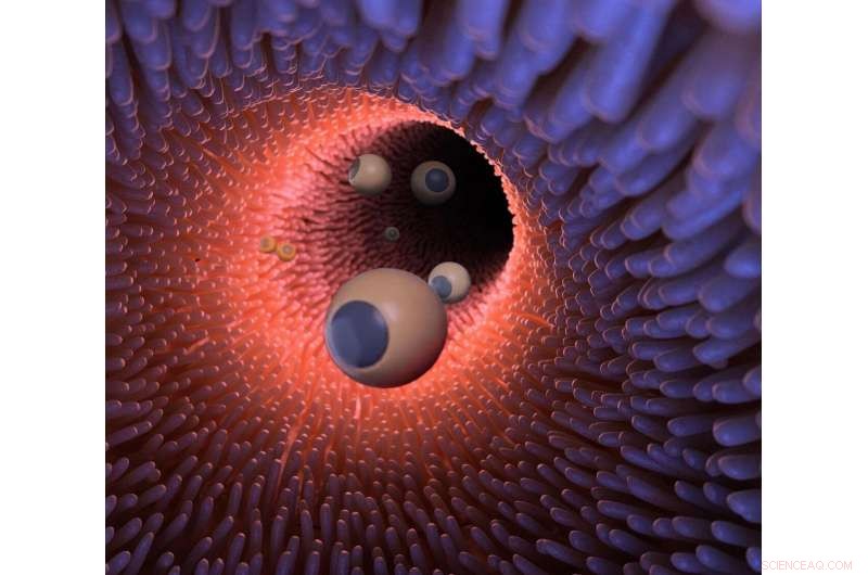 Microrobots Offer New Hope in Tumor Treatment