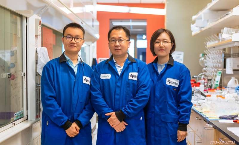 Scientists Narrow the Gap: Safer, More Efficient Nanomedicines Developed