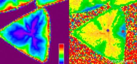 Shielding Monolayer Tungsten Disulfide from Ambient Air Oxidation for Reliable Device Performance