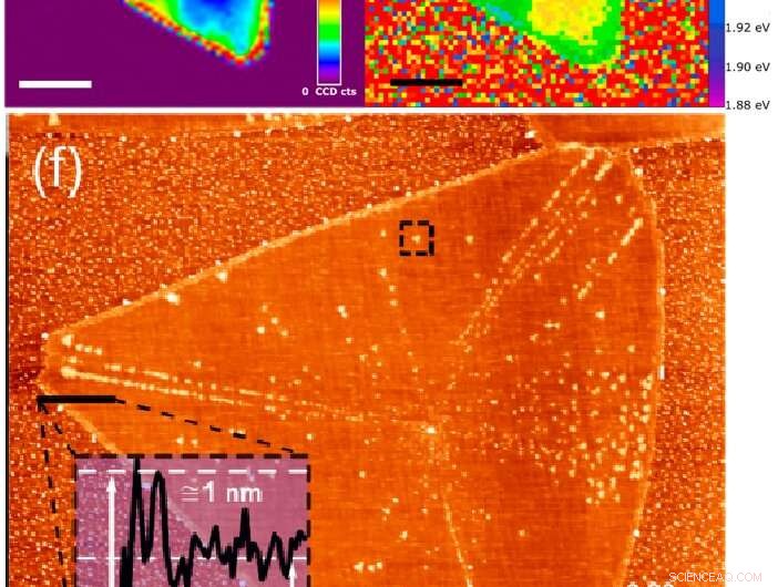 Shielding Monolayer Tungsten Disulfide from Ambient Air Oxidation for Reliable Device Performance