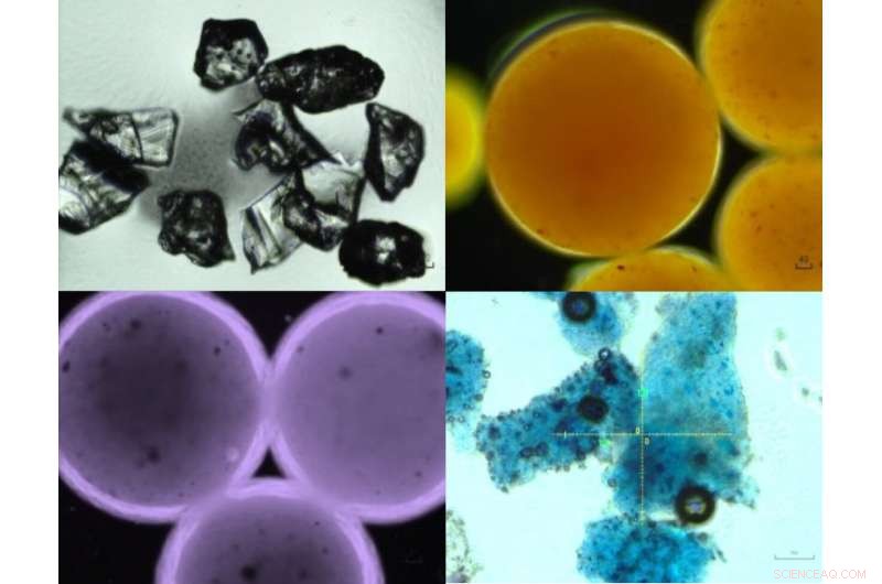 Magnetic Springs: A Novel Solution to Tackle Marine Microplastic Pollution