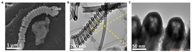 Magnetic Springs: A Novel Solution to Tackle Marine Microplastic Pollution