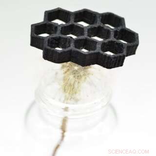 Revolutionary 3‑D Printing Technique Produces Lightweight, High‑Strength Carbon Nanotube Components