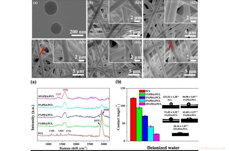 Nano-Glue Polymer Membranes: A Breakthrough for Strong Bone Regeneration