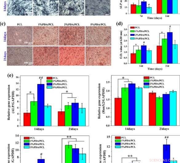 Nano-Glue Polymer Membranes: A Breakthrough for Strong Bone Regeneration