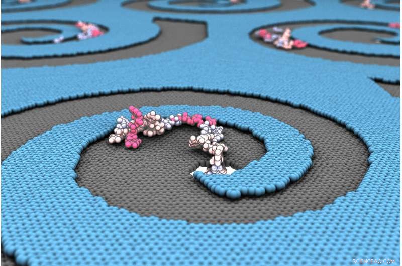 Harnessing Imperfect Membranes to Boost Biomolecule Transport