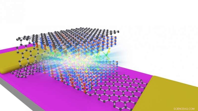 Scientists Unveil Ultra‑Low Voltage LEDs Using Atomically Thin Semiconductors