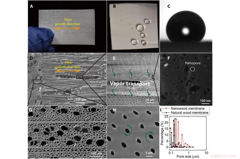 Hydrophobic Nanostructured Wood Membrane Enhances Thermal Efficiency in Membrane Distillation