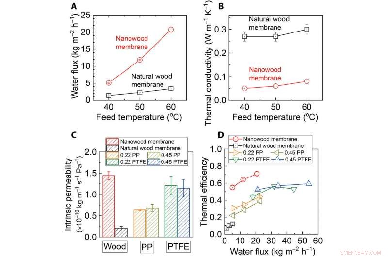 Hydrophobic Nanostructured Wood Membrane Enhances Thermal Efficiency in Membrane Distillation
