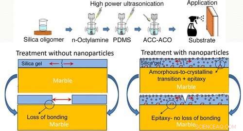 Calcium: Essential for Bone Health and Protecting Cultural Heritage