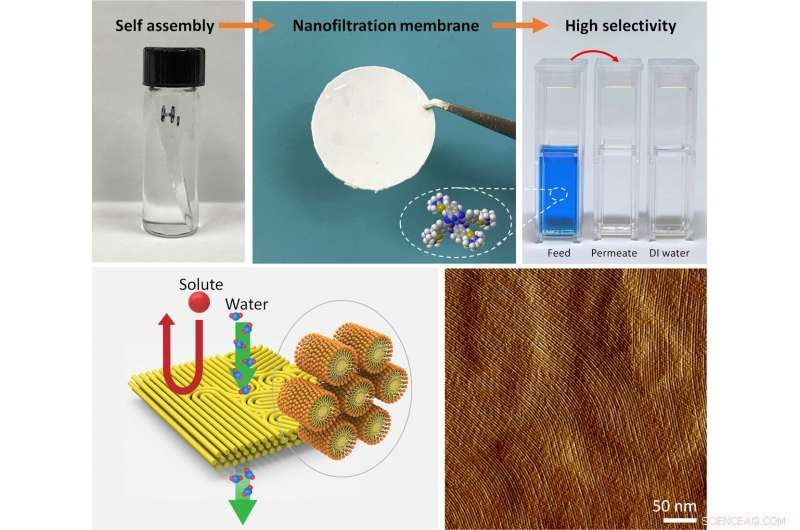 Revolutionize Water Filtration: Build a Superior Nanofilter from the Ground Up