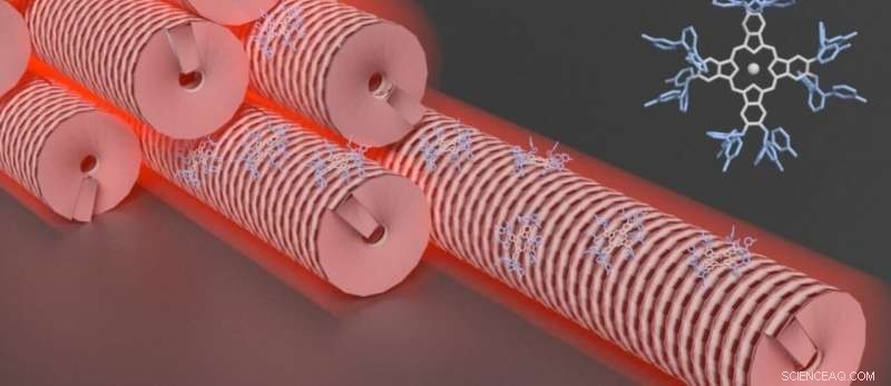 Viruses and Dyes Form Novel Composite for Visible-Light Photo-Oxidation of Wastewater Pollutants