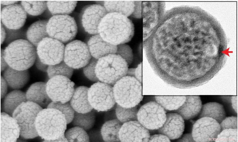 Nanoscale Glass Bottles Offer Precise Targeted Drug Delivery