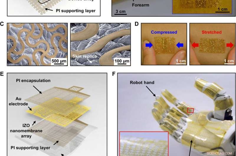 Ultrathin Metal‑Oxide Nanomembrane Electronics for Advanced Wearable Human‑Machine Interfaces