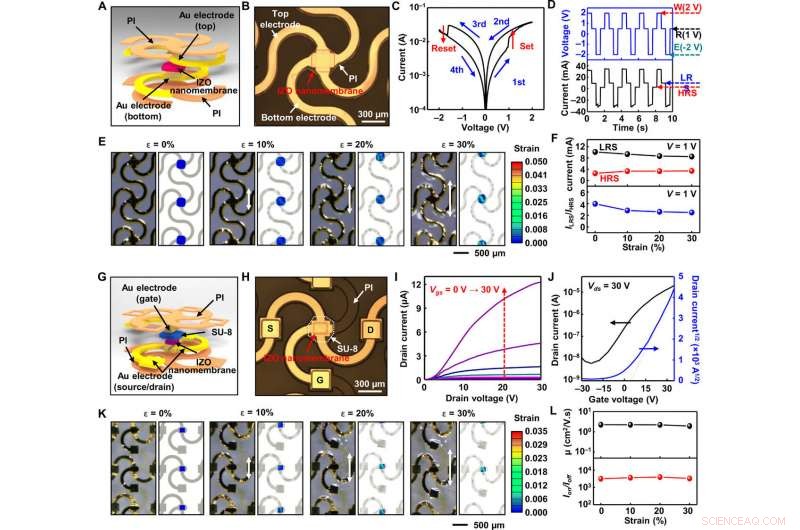 Ultrathin Metal‑Oxide Nanomembrane Electronics for Advanced Wearable Human‑Machine Interfaces