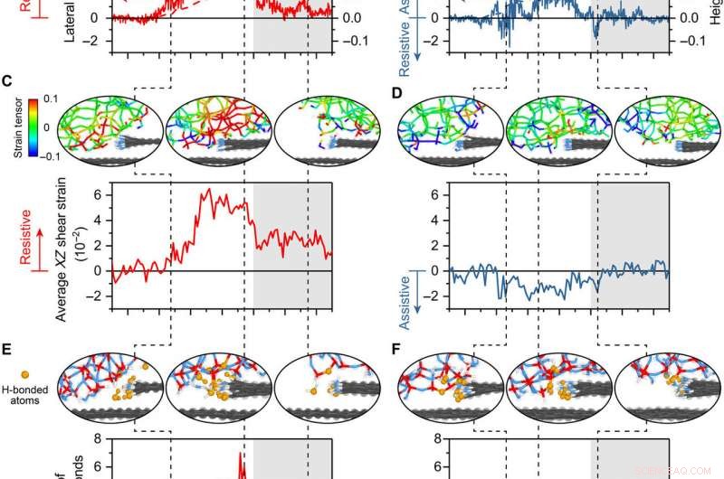 Unraveling the Chemical and Physical Drivers of Friction at Atomic Step Edges