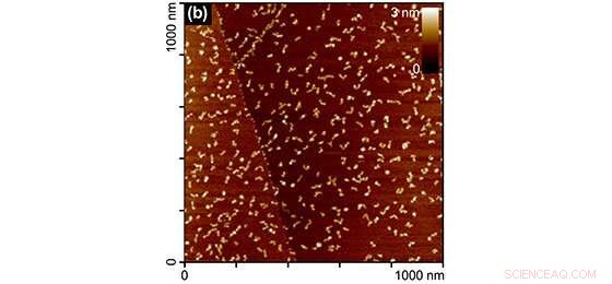 Graphene Nanoflakes: A Breakthrough in Precision Medicine for Prostate Cancer