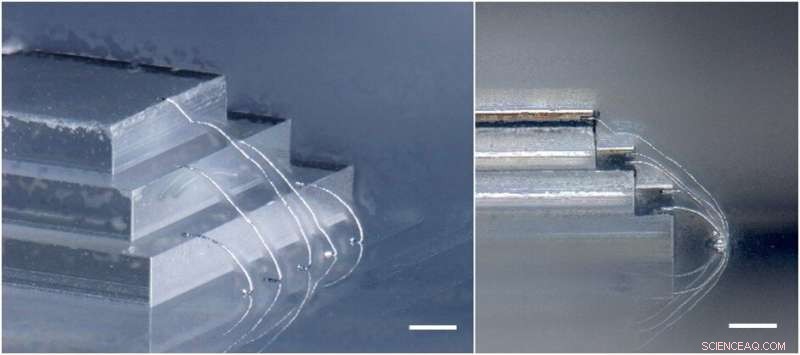 Revolutionary 3‑D Interconnect System for Next‑Generation Wearable Bioelectronics