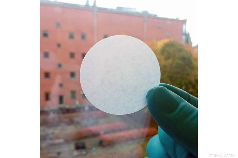 Algae-Derived Paper Filters Offer Hope for Safe Drinking Water in Bangladesh