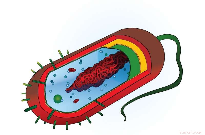 New Optofluidic Chip Combines Nanopores and Smart Gates for Precise Single-Molecule Analysis