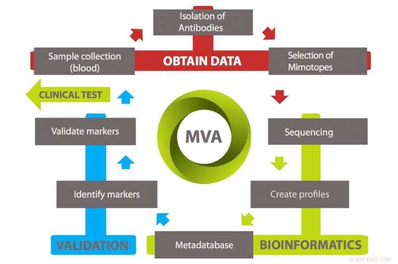 Comprehensive Nanoscale Risk Assessment: Exploring Mimotope Variation