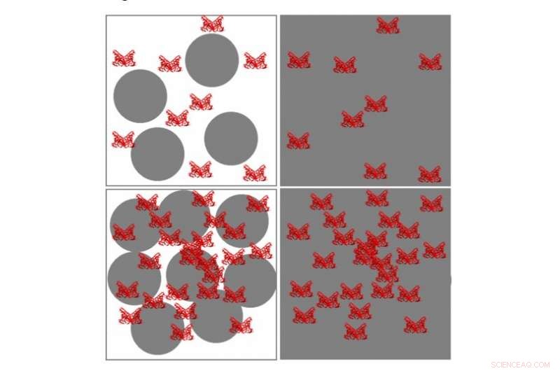 Polystyrene Nanoplastics Interaction with Blood Plasma Proteins: Structural Insights at Varied pH