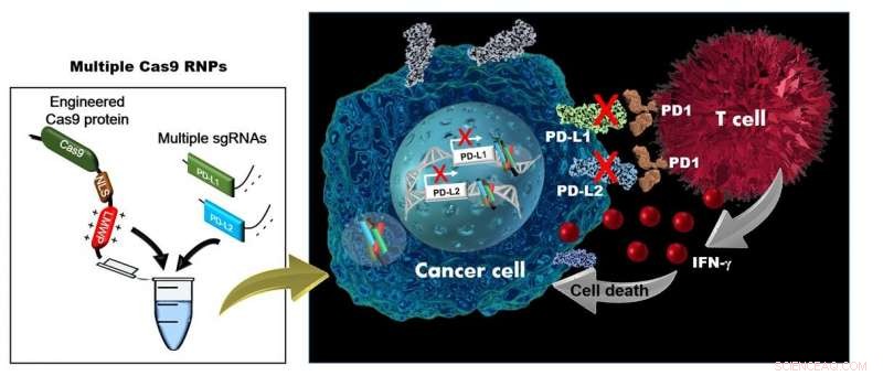 Revolutionizing Cancer Treatment: Simultaneous Multiplexed Gene Editing Technology