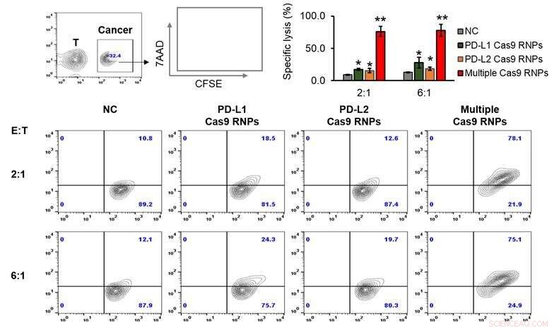 Revolutionizing Cancer Treatment: Simultaneous Multiplexed Gene Editing Technology