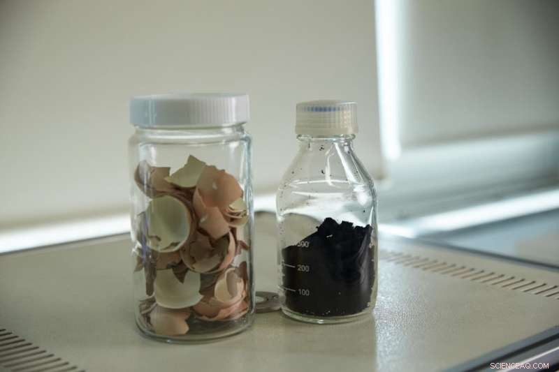 Transforming Eggshell Waste into Clean Hydrogen and Nanoporous Graphene: A Novel Catalytic Process