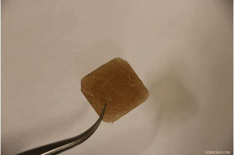 Graphene-Lined Clothing: A New Defense Against Mosquito Bites